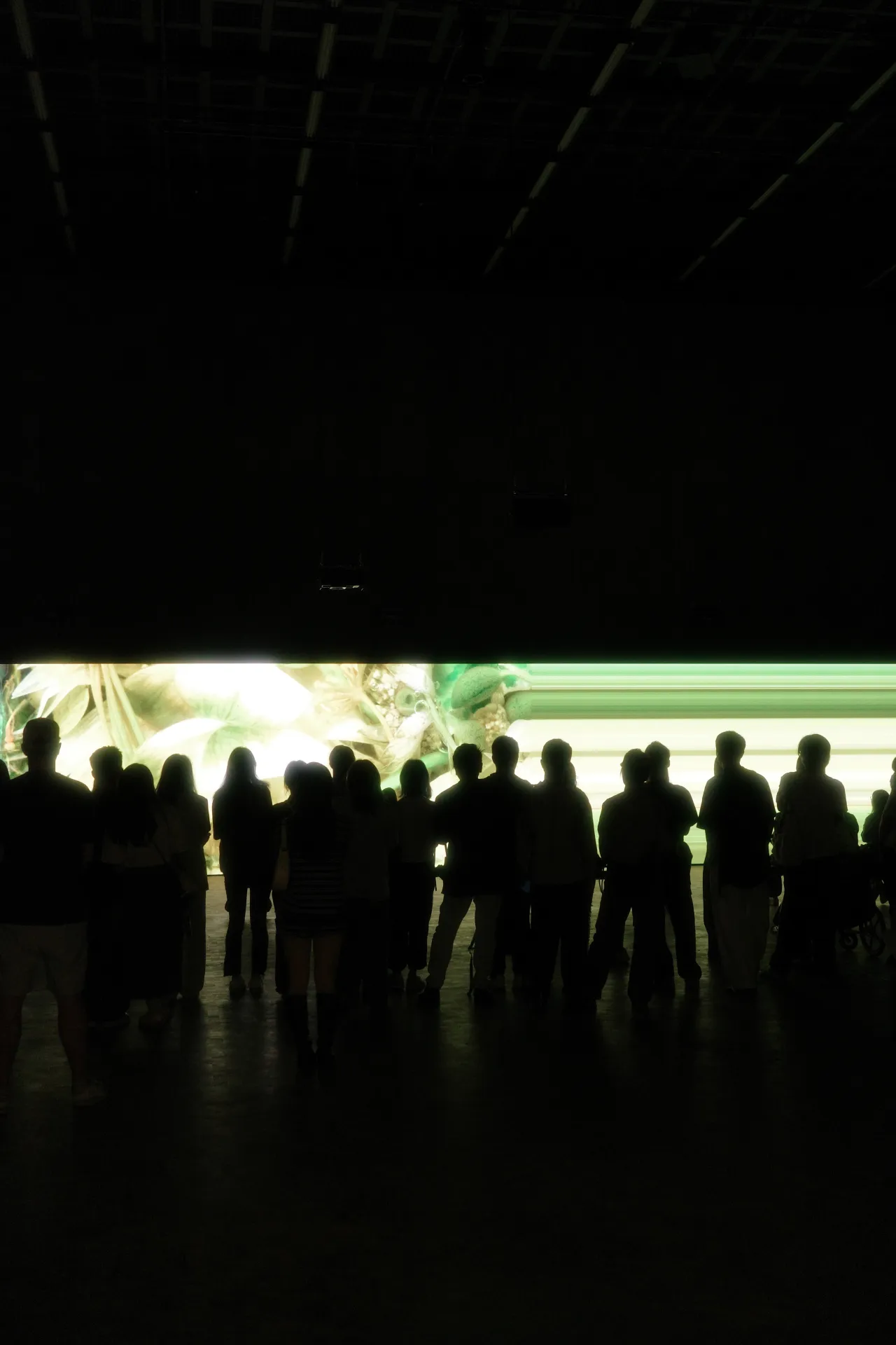 Silhouettes of figures viewing a gallery installation